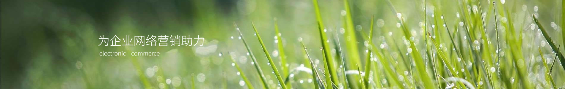 ŷǱƼ޹˾